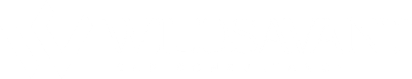 Wildsavant, SAP consultancy